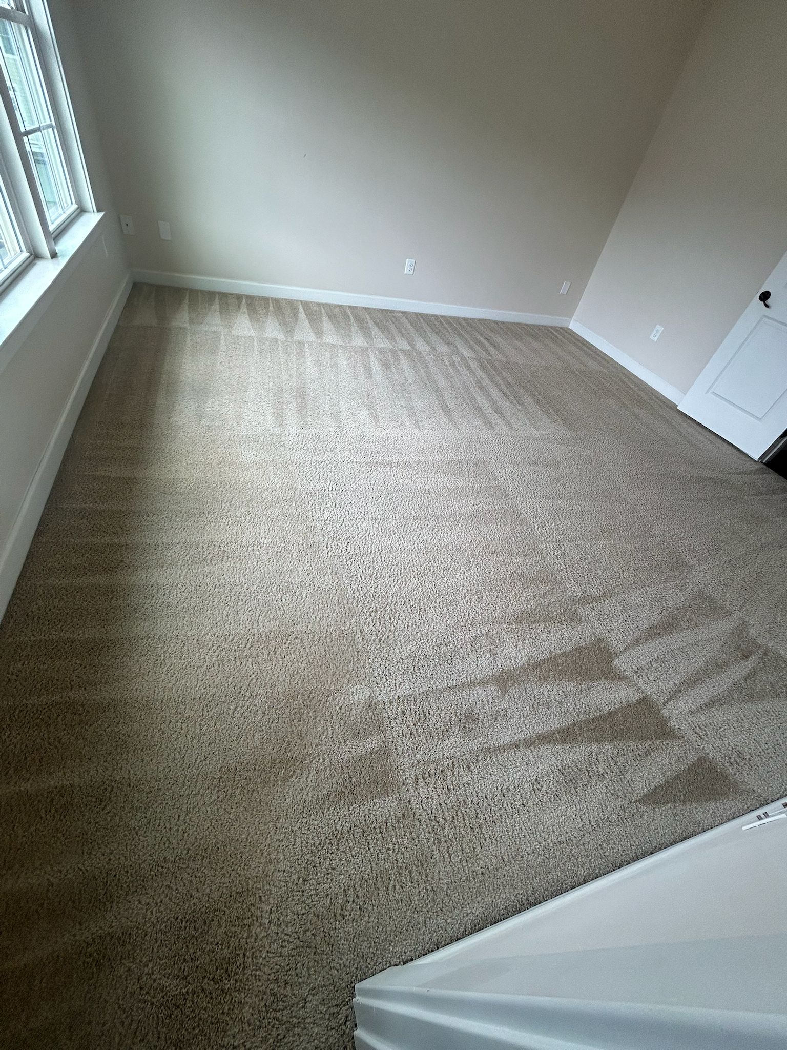 Carpet restoration